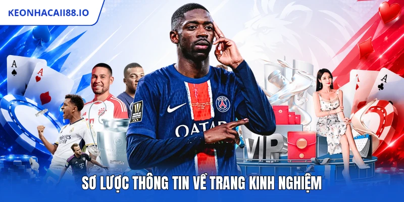 Sơ lược thông tin về trang kinh nghiệm